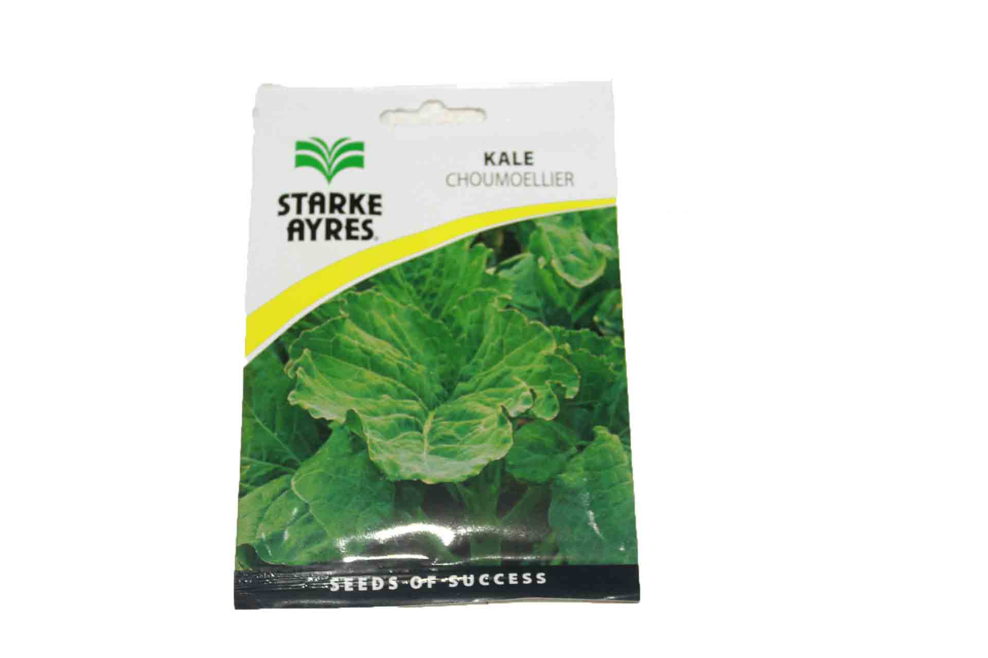 Kale Choumoellier Seeds