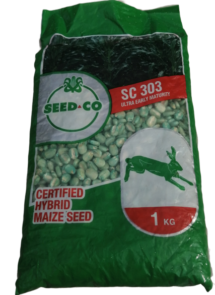 Seedco Maize (kalulu)
