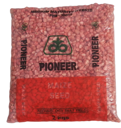 Pioneer Maize Seed