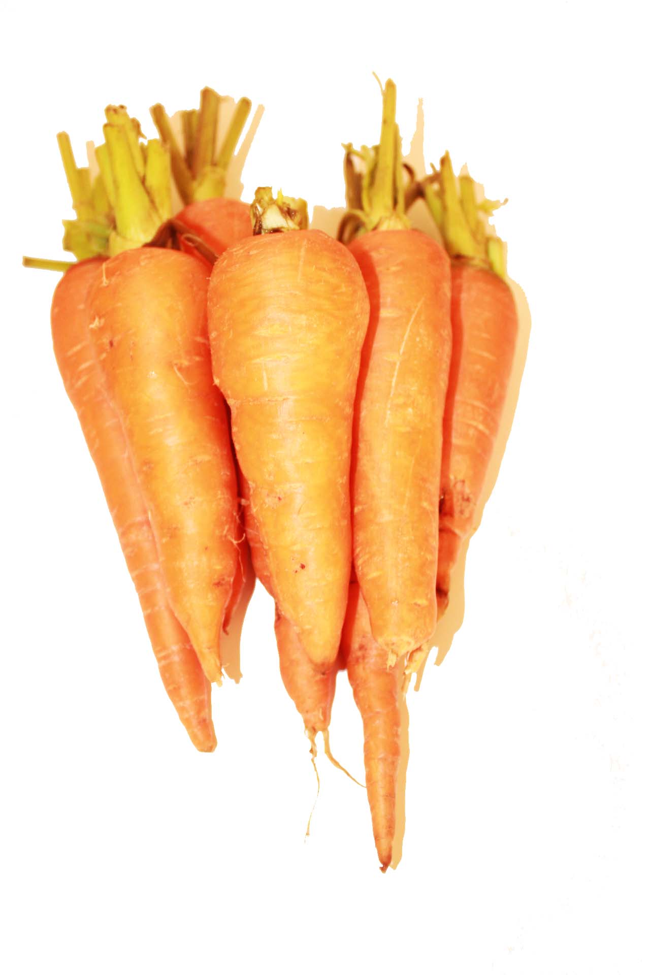 Locally Grown Carrot 1kg Package