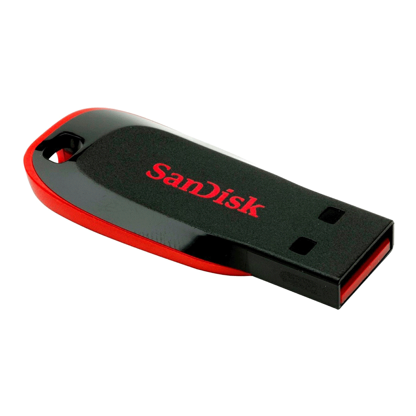 Sandisk flash drive