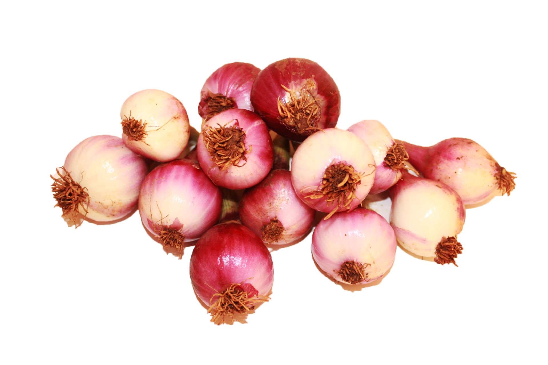 Malawian Onions 1kg